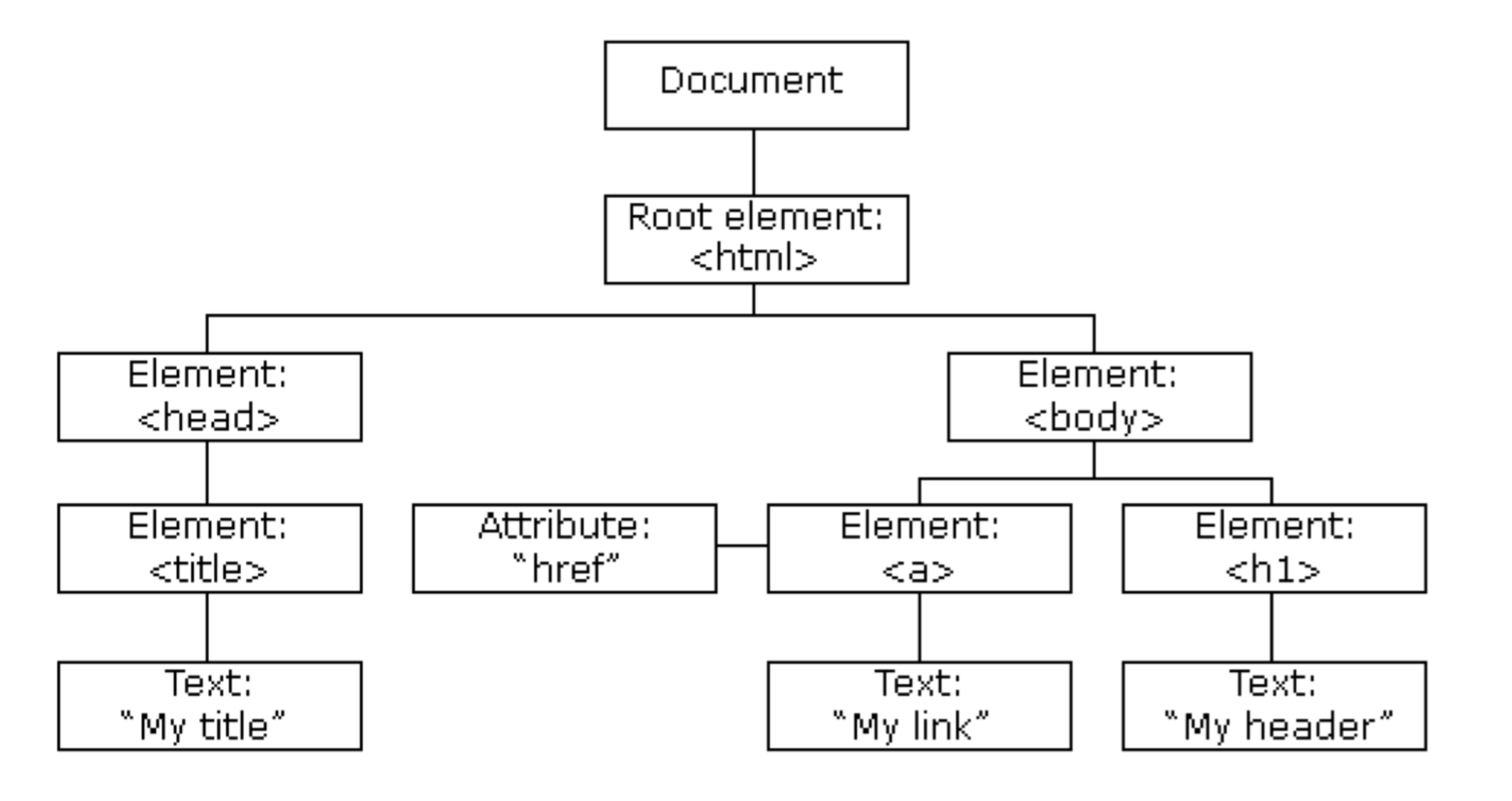 DOM Tree